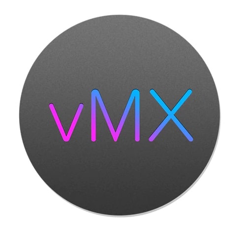 Meraki VMX100 Medium