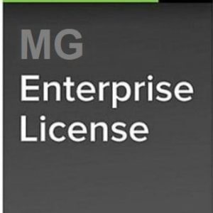Meraki MG Enterprise License